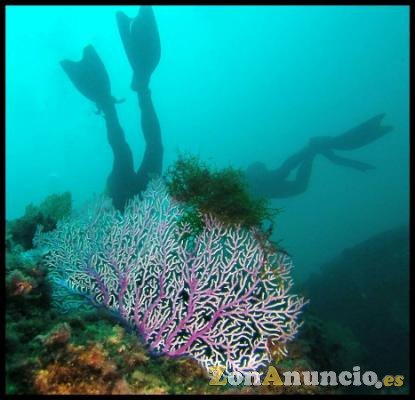 SNORKELING EN BARBATE
